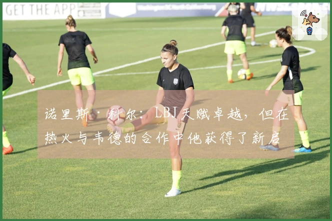 诺里斯·科尔：LBJ天赋卓越，但在热火与韦德的合作中他获得了新启发