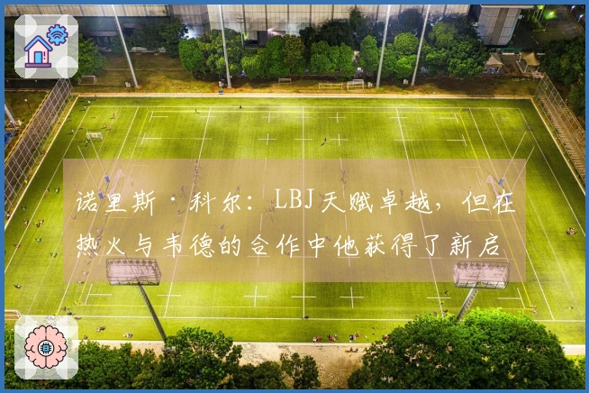 诺里斯·科尔：LBJ天赋卓越，但在热火与韦德的合作中他获得了新启发